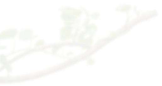decoration