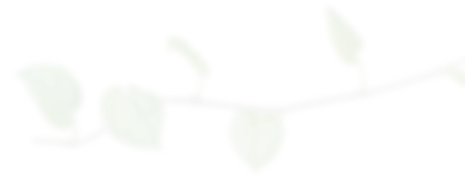 decoration