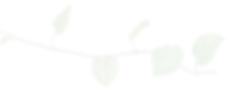 decoration