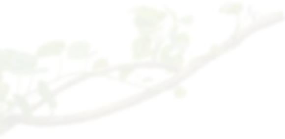 decoration