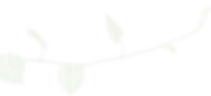 decoration