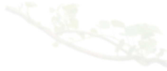 decoration